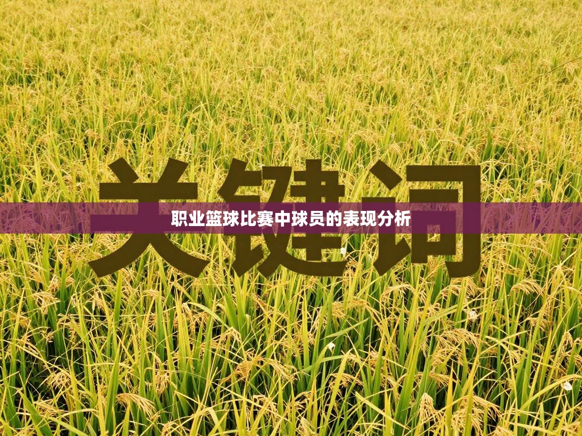 开云体育app官网网页登录入口-职业篮球比赛中球员的表现分析 第2张