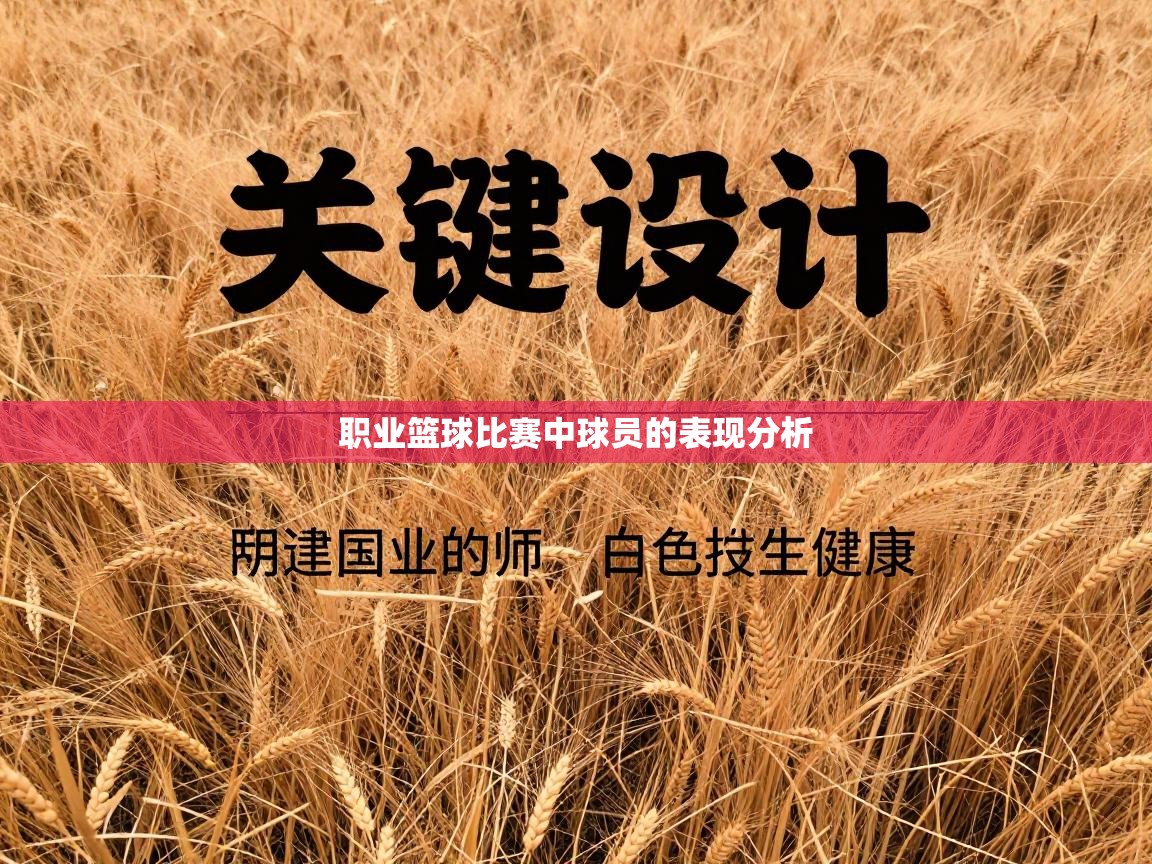 开云体育app官网网页登录入口-职业篮球比赛中球员的表现分析 第3张