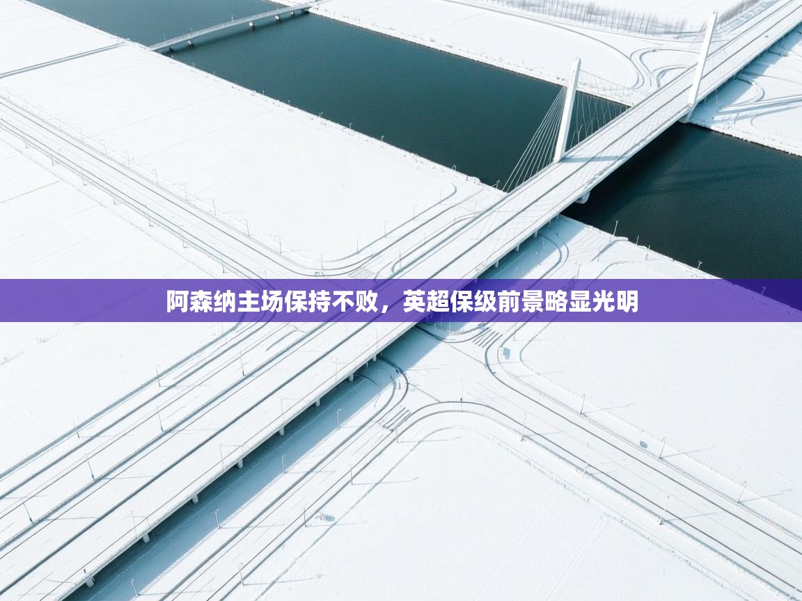 开云体育在线观看-阿森纳主场保持不败，英超保级前景略显光明  第1张