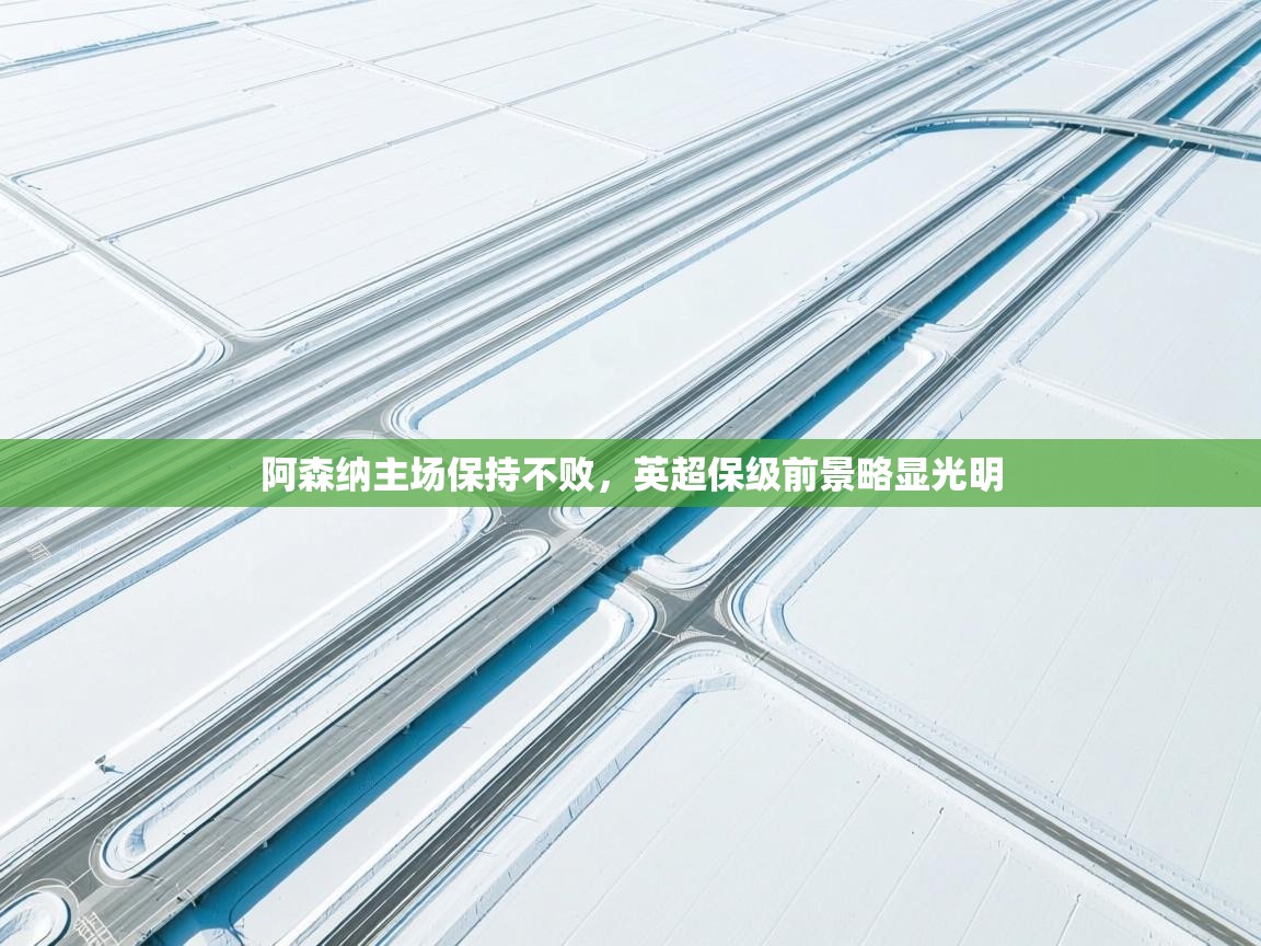 开云体育在线观看-阿森纳主场保持不败，英超保级前景略显光明  第3张