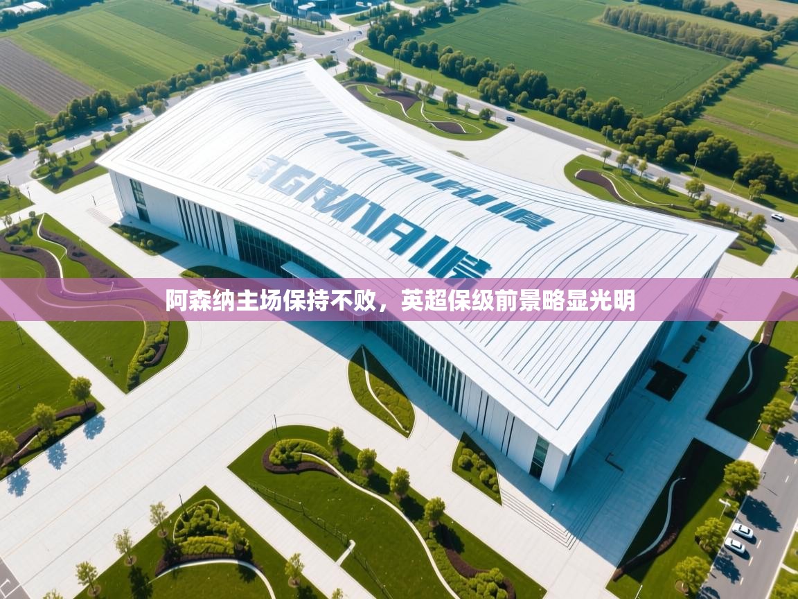 开云体育在线观看-阿森纳主场保持不败，英超保级前景略显光明  第4张