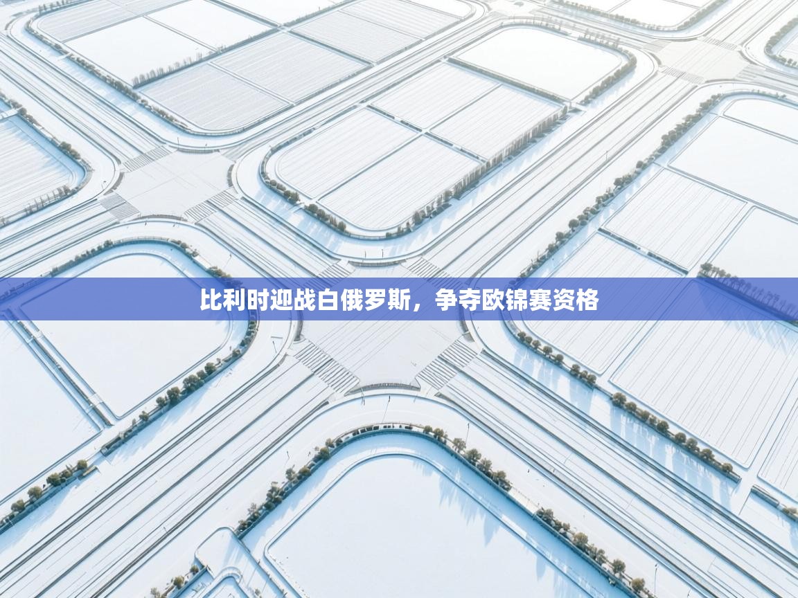 开云体育app下载地址-比利时迎战白俄罗斯，争夺欧锦赛资格  第1张