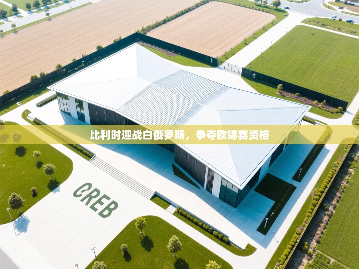 开云体育app下载地址-比利时迎战白俄罗斯，争夺欧锦赛资格  第3张