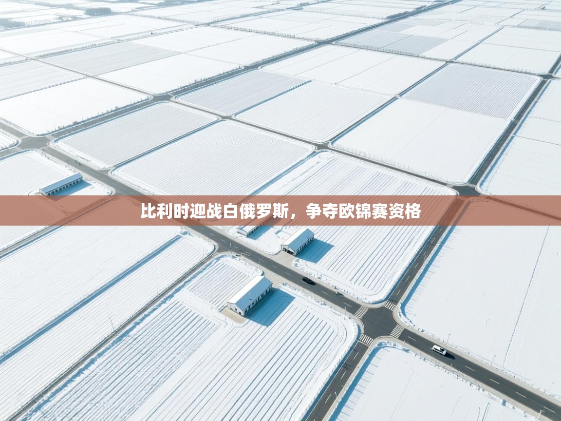 开云体育app下载地址-比利时迎战白俄罗斯，争夺欧锦赛资格  第4张