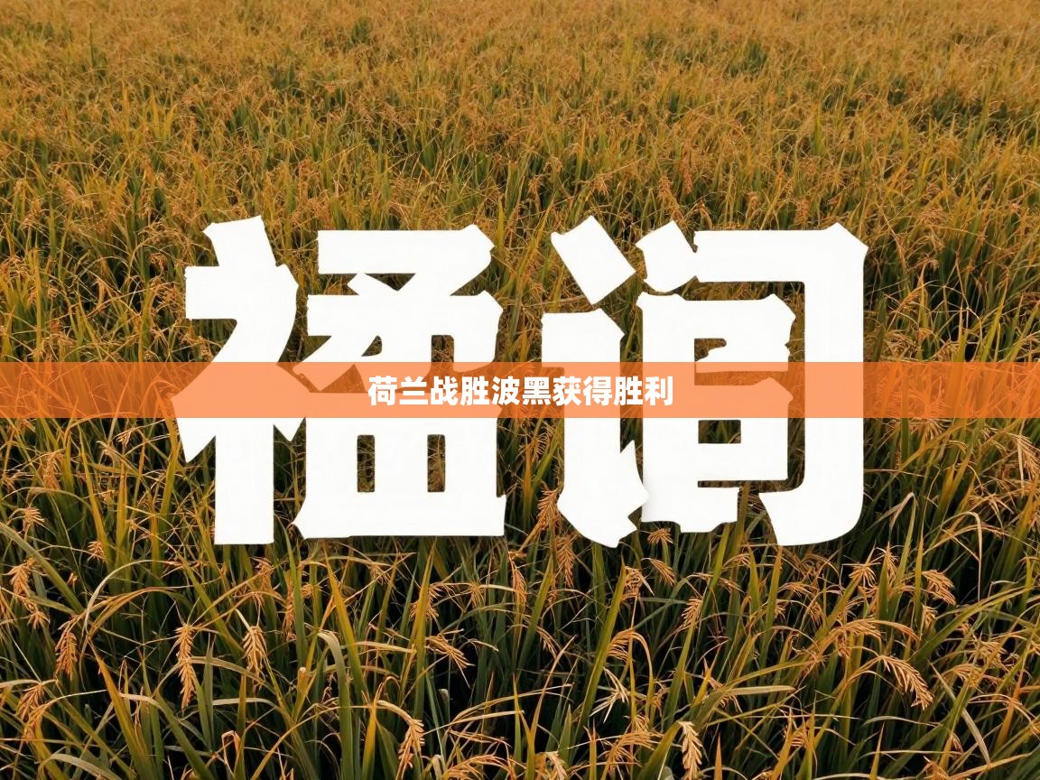 开云·体育app中国官方网站-荷兰战胜波黑获得胜利  第1张