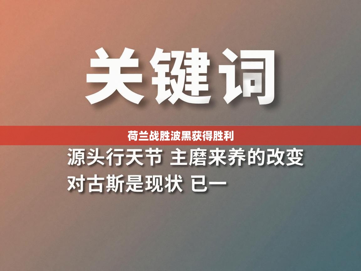 开云·体育app中国官方网站-荷兰战胜波黑获得胜利  第3张